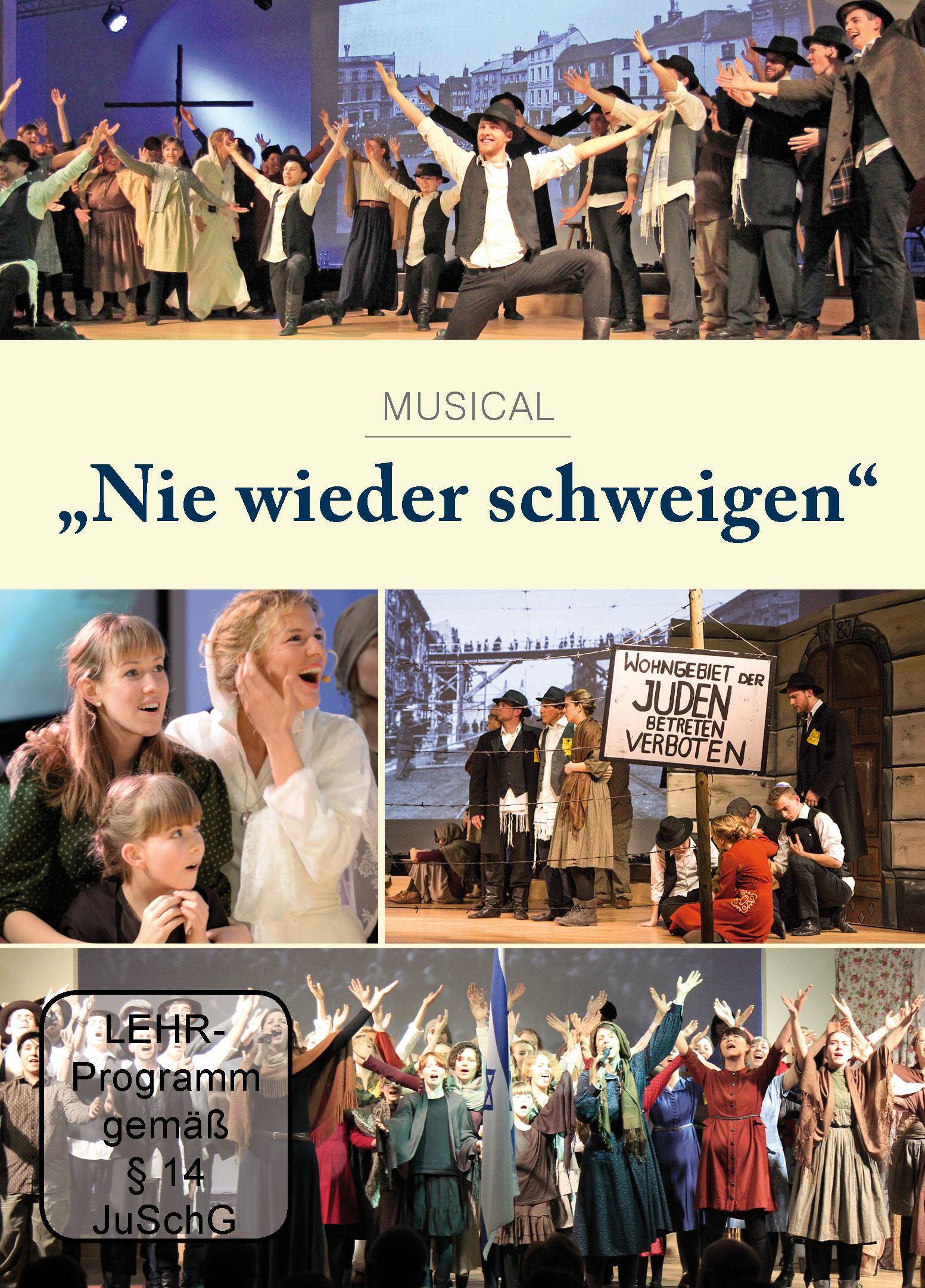 Musical - Nie wieder schweigen (DVD)